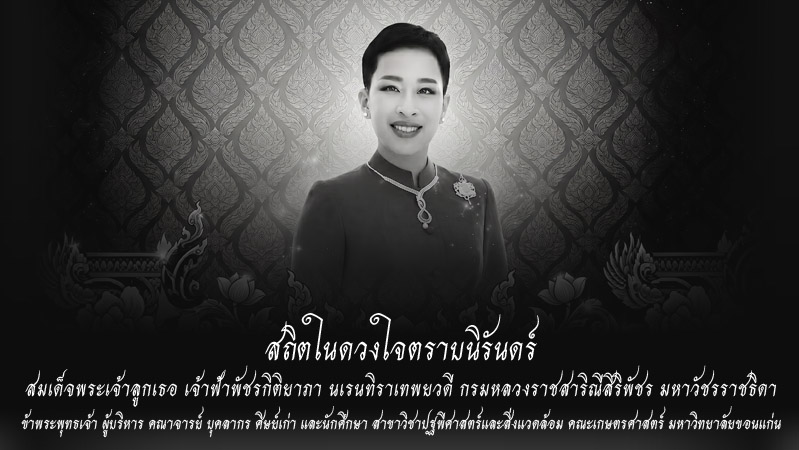 โปรโมชั่นพิเศษ